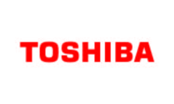 Toshiba America Energy Systems (TAES)